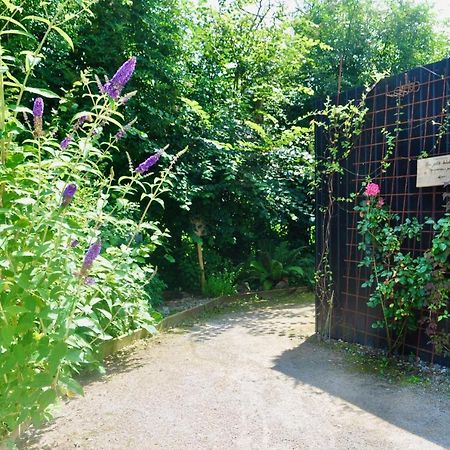 مبيت وإفطار La Madelaine-sous-Montreuil Les Bobos A La Ferme المظهر الخارجي الصورة